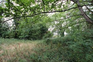 Photo 18- click for photo gallery